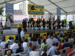 Fotos Noticias 2009